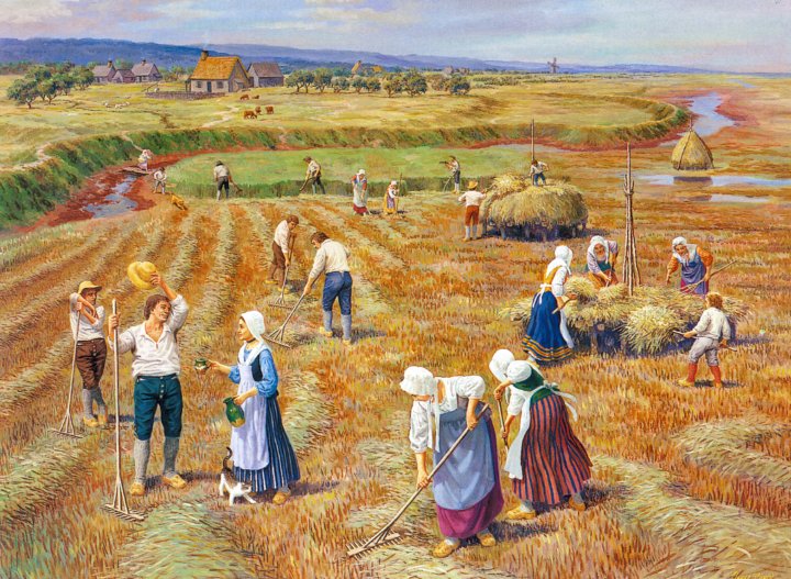 paradis.jpg (133216 octets)